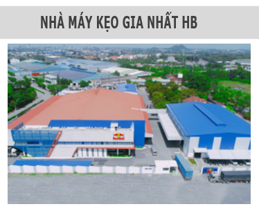 Gia nhat HN